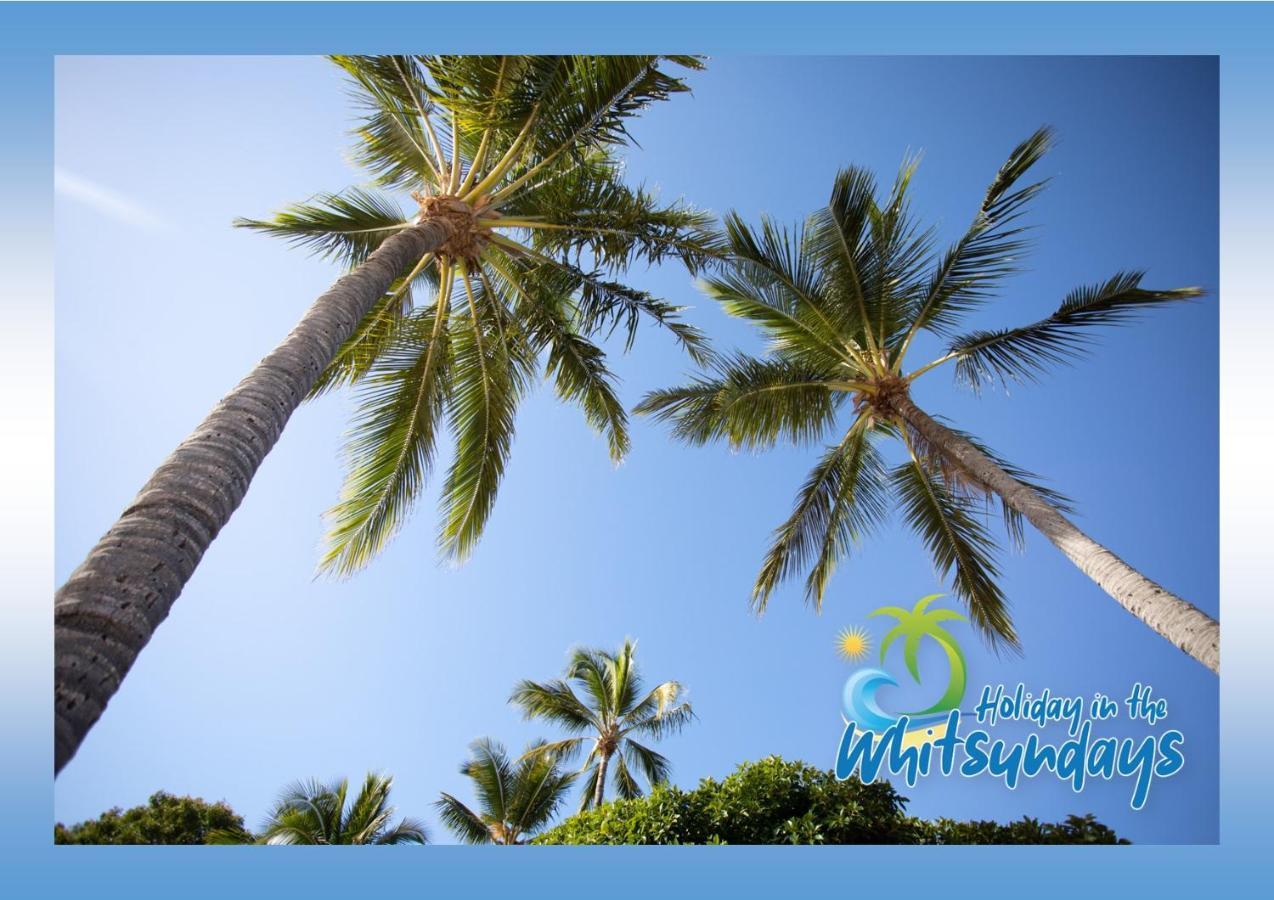 Ocean View 16A Studio Pool & Spa Wi-Fi Airlie Beach Exterior photo